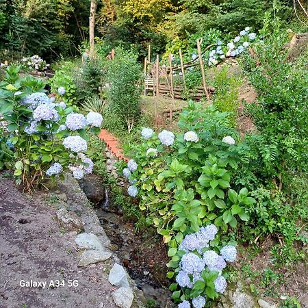 La Casetta Nel Verde コモ エクステリア 写真