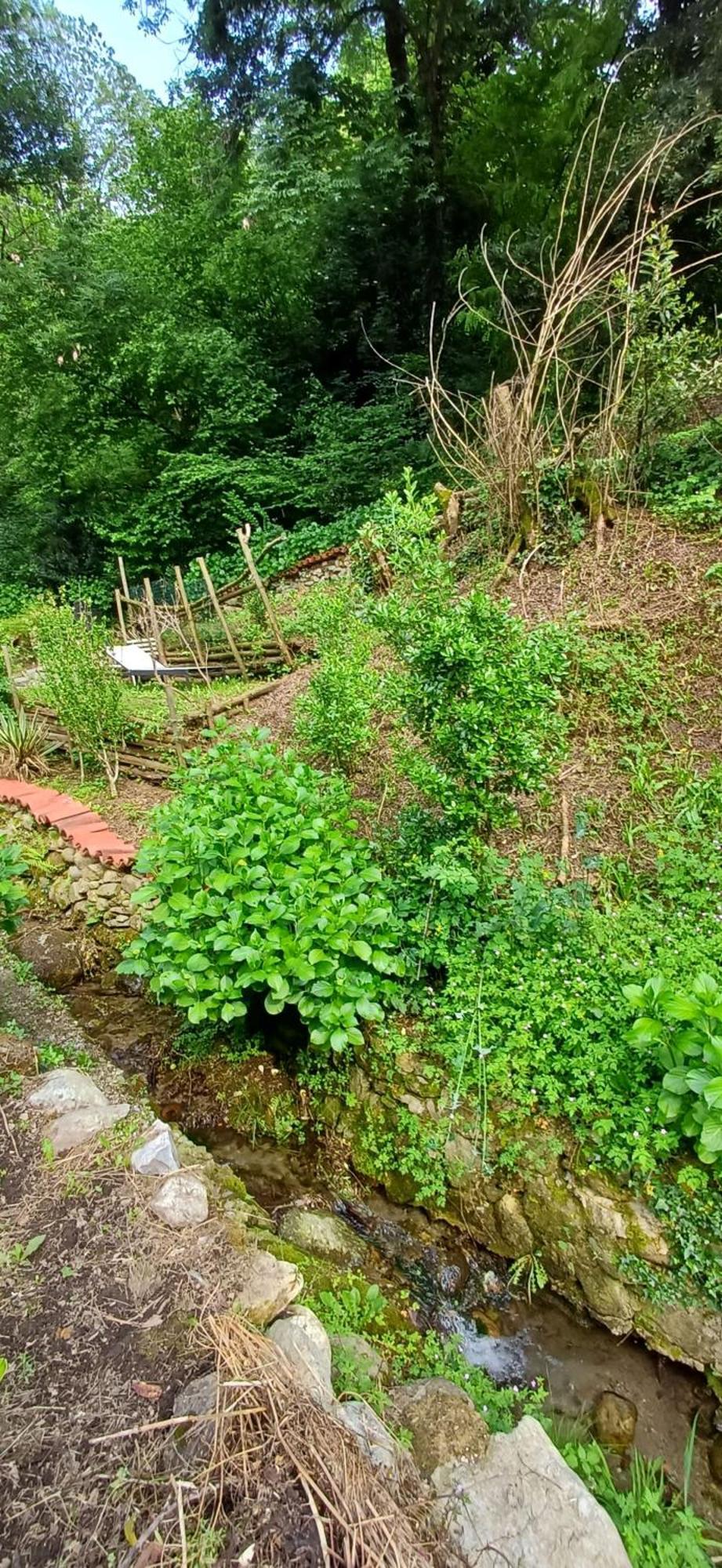 La Casetta Nel Verde コモ エクステリア 写真